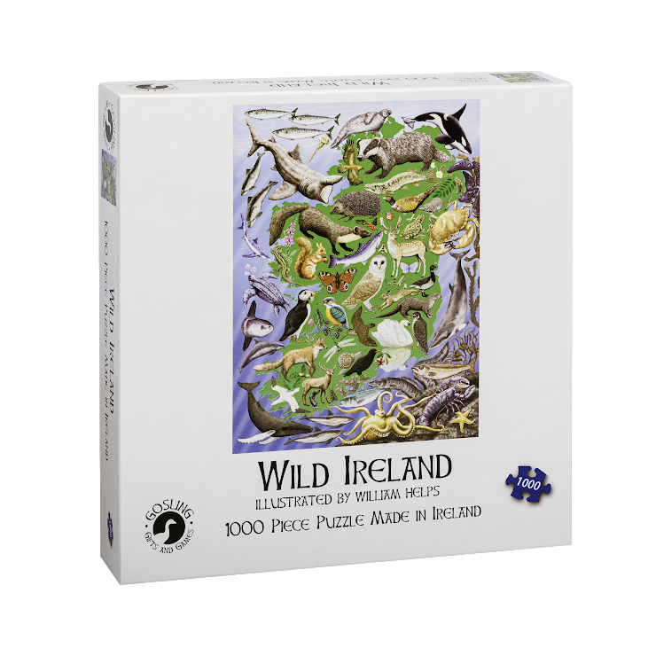 Gosling Games Wild Ireland - 1000 piece jigsaw