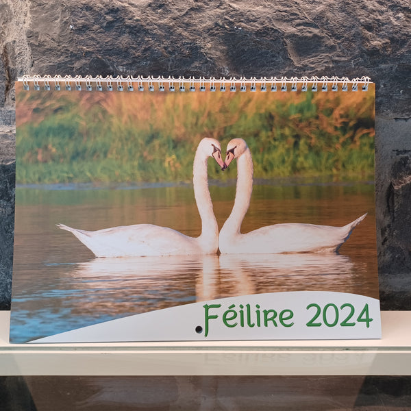 Féilire/Calendar 2024 (Éamonn Coyle)