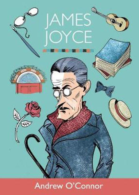 In A Nutshell Series James Joyce Literally Legend
