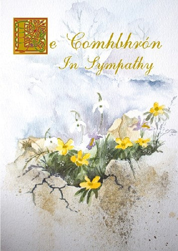 The Glen Gallery Le Comhbhrón In Sympathy Card