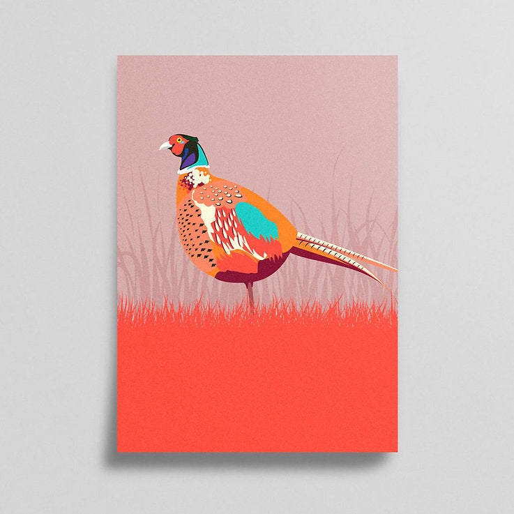 Pawpear Piasún/Pheasant A3 Print