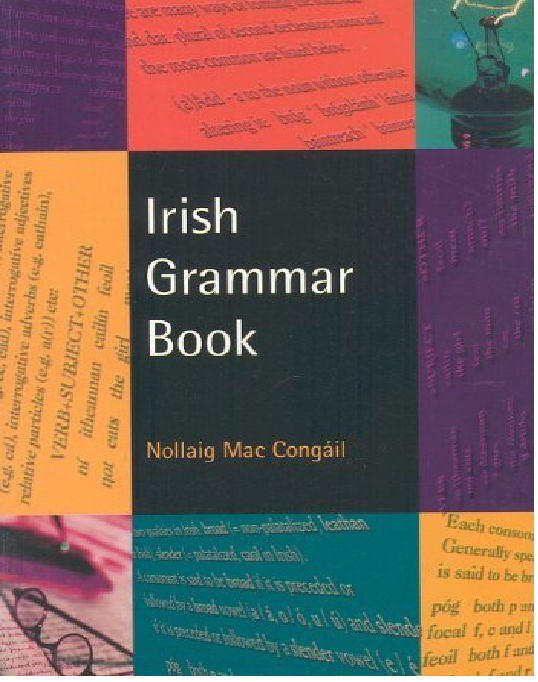 Irish Grammar Book By Nollaig Mac Congáil