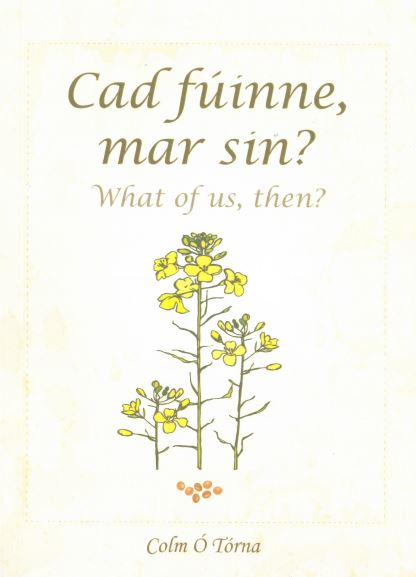 Cad fúinne mar sin? What of us then?