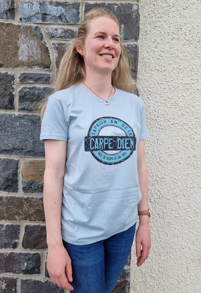 An Spailpín Fánach Carpe Diem Tapaidh An Deis Irish T-Shirt Light Blue