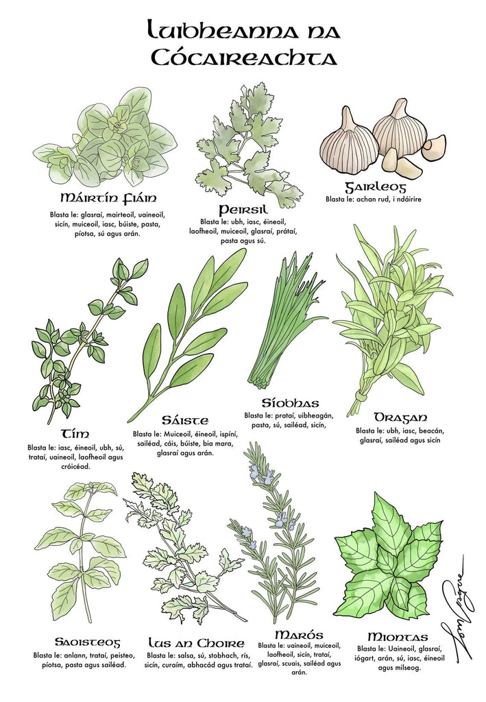 Beoigh Herbs/Luibheanna