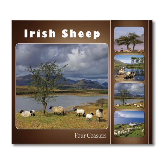 Real Ireland Irish Sheep Coasters